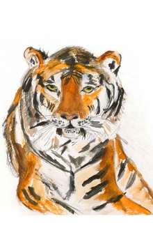 Viktor The Tiger 10x8 in. watercolor