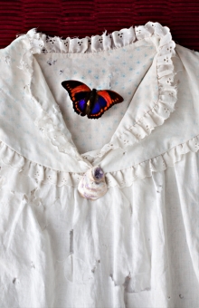 The Magic Gown, Butterfly & The Shell of Great Fortune & Mysterious Ways 2010